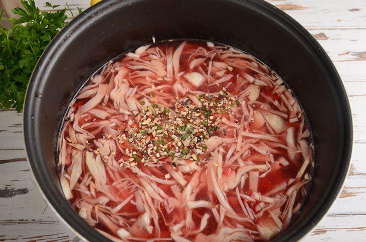 Borsch with turkey in a slow cooker - rich and fragrant