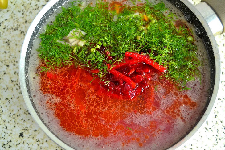 Borscht from summer vegetables with beets - very tasty and fragrant