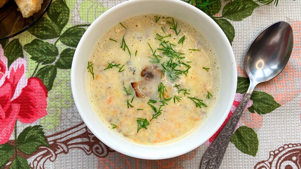 Soup “Julien” with mushrooms – a delicious dish with benefits for the figure