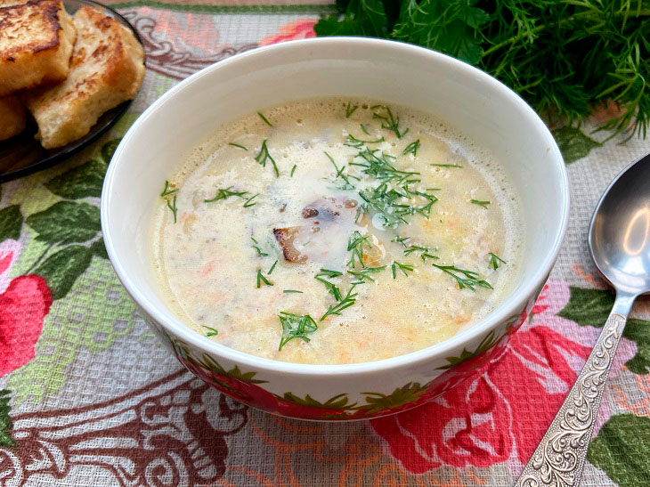 Soup "Julien" with mushrooms - a delicious dish with benefits for the figure