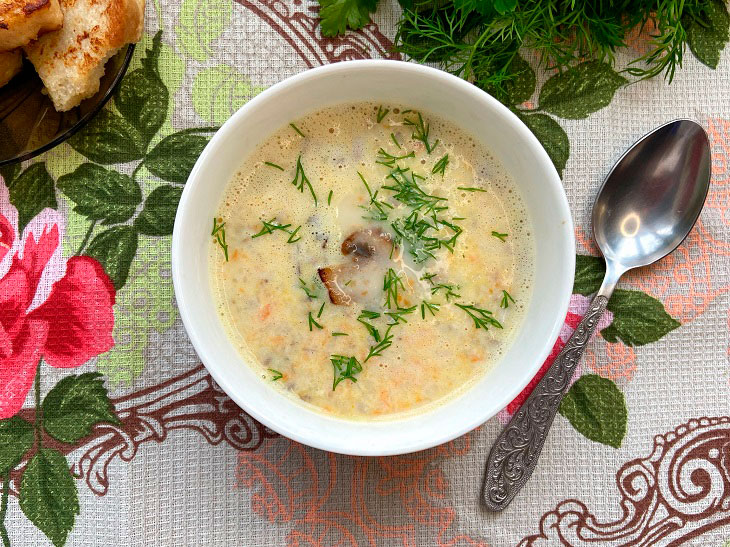 Soup "Julien" with mushrooms - a delicious dish with benefits for the figure