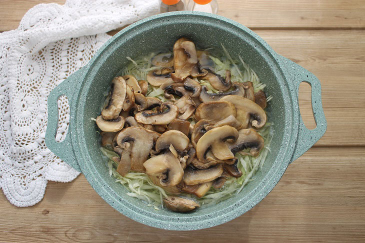 Mushroom solyanka - a simple, tasty and satisfying dish
