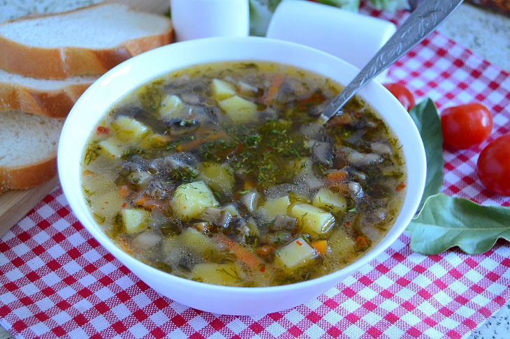 Fragrant mushroom soup - appetizing, tender and low-calorie