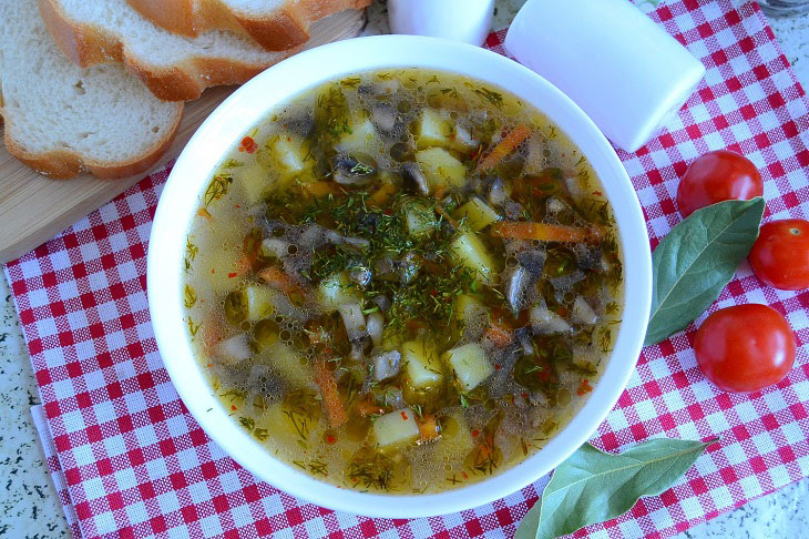 Fragrant mushroom soup - appetizing, tender and low-calorie