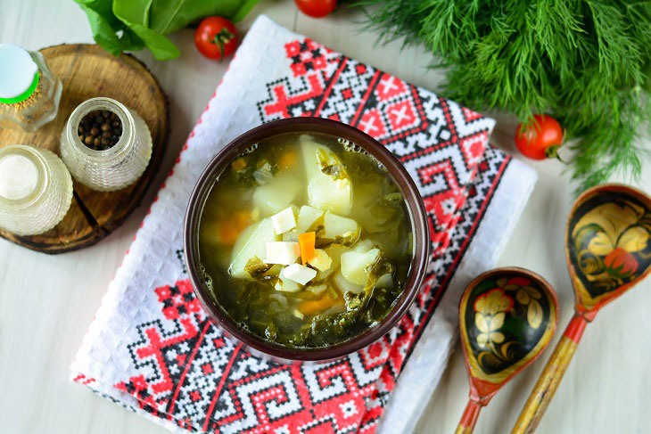 Green borsch from young sorrel - tasty and healthy