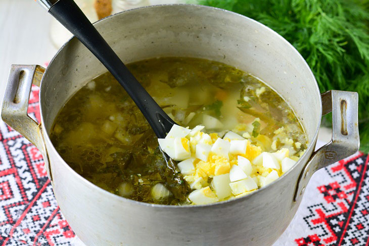 Green borsch from young sorrel - tasty and healthy