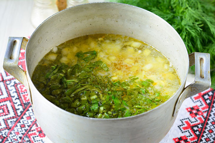 Green borsch from young sorrel - tasty and healthy