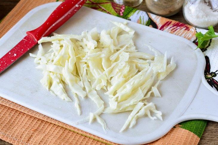 Borscht in a pan - a quick and affordable recipe for your favorite dish