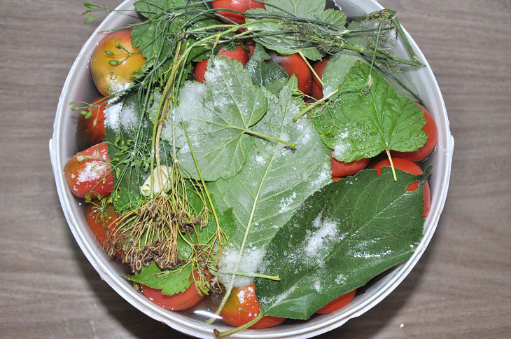 Barrel tomatoes in a bucket - they turn out fragrant and tasty