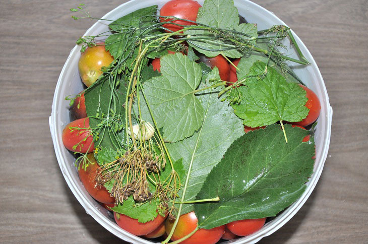 Barrel tomatoes in a bucket - they turn out fragrant and tasty