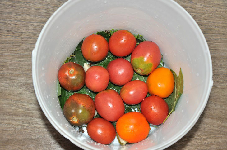 Barrel tomatoes in a bucket - they turn out fragrant and tasty