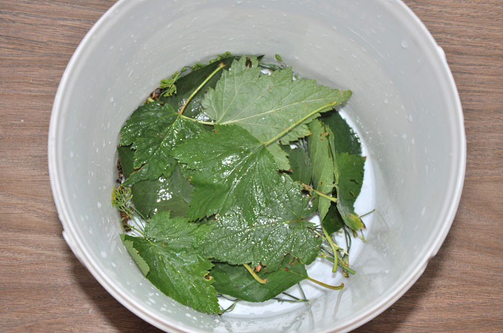 Barrel tomatoes in a bucket - they turn out fragrant and tasty