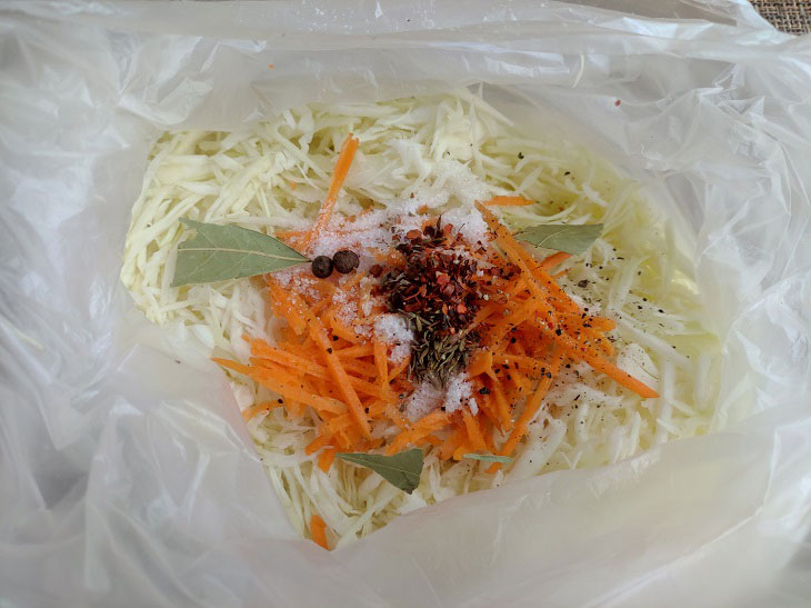 Sauerkraut in a bag - a simple recipe for a soulful snack