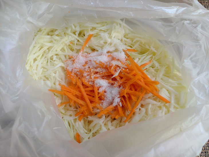 Sauerkraut in a bag - a simple recipe for a soulful snack