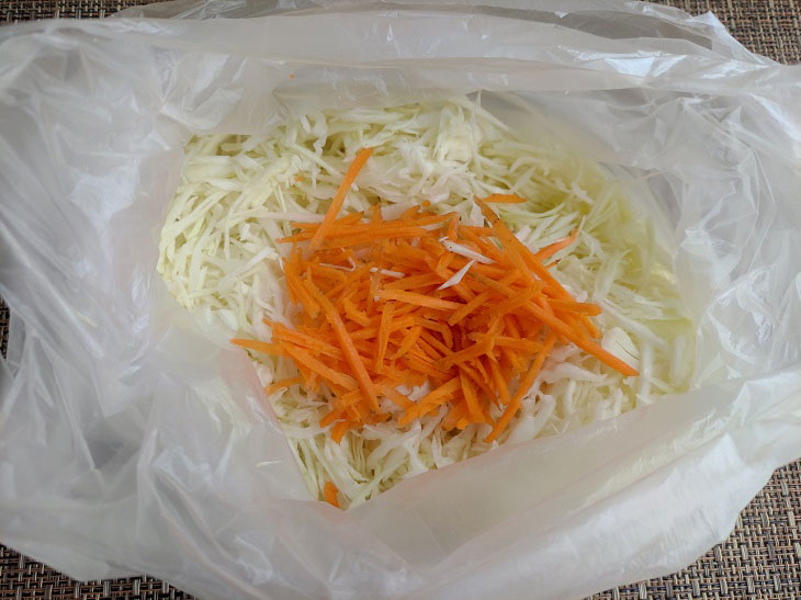 Sauerkraut in a bag - a simple recipe for a soulful snack