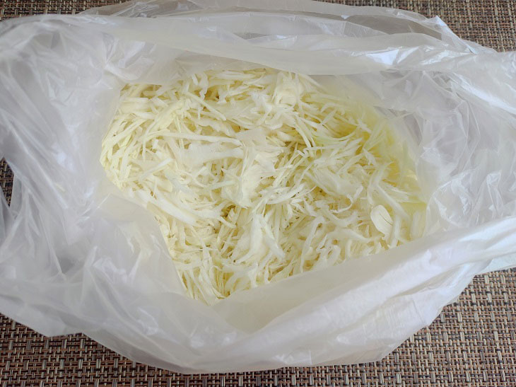 Sauerkraut in a bag - a simple recipe for a soulful snack