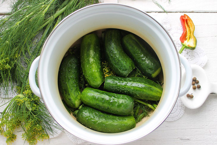 Lightly salted cucumbers in a saucepan - fragrant and crispy