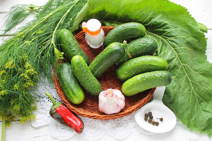 Lightly salted cucumbers in a saucepan - fragrant and crispy