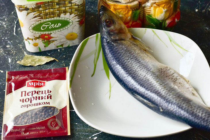 Salted herring in brine - a simple and tasty recipe