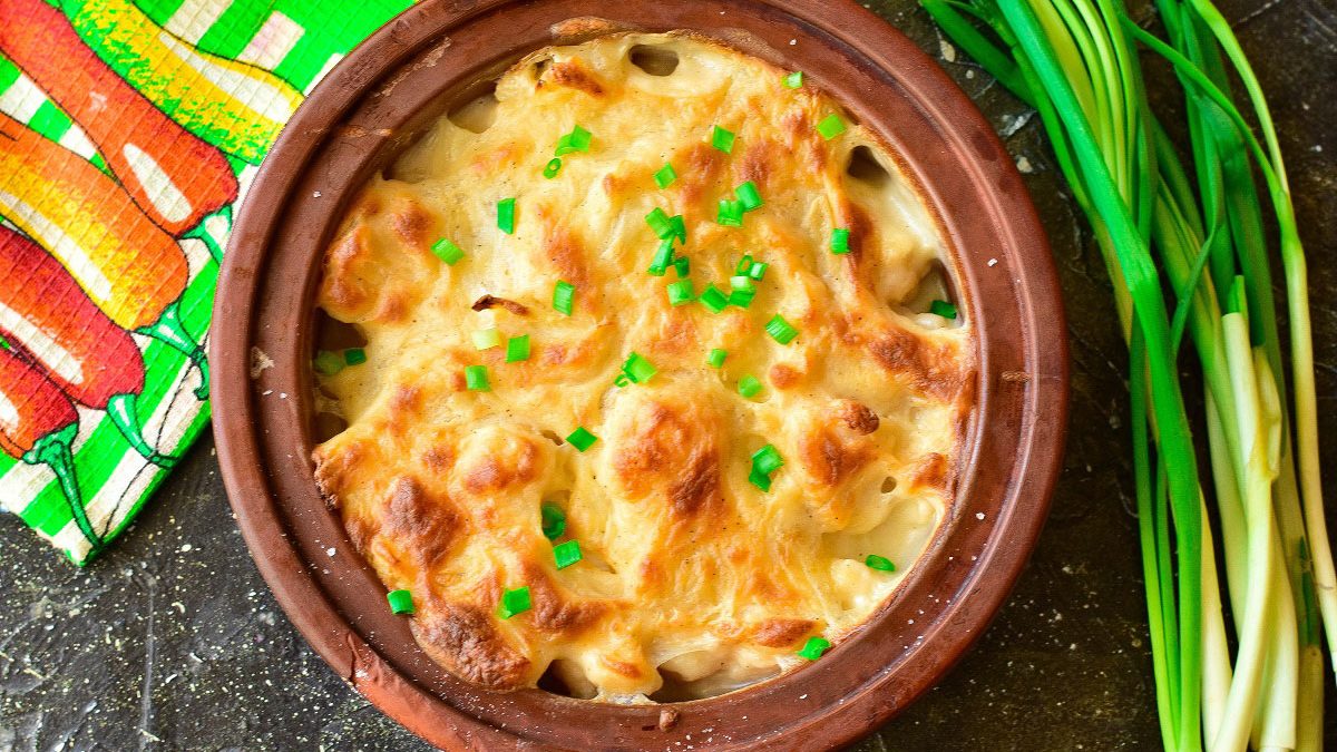 Cauliflower gratin – a delicious and elegant dish