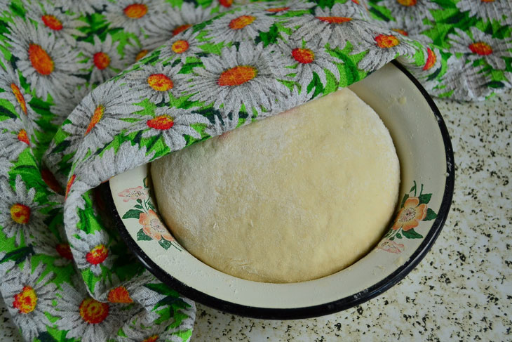 Delicious pies in the oven with cabbage and minced meat - in just 1 hour