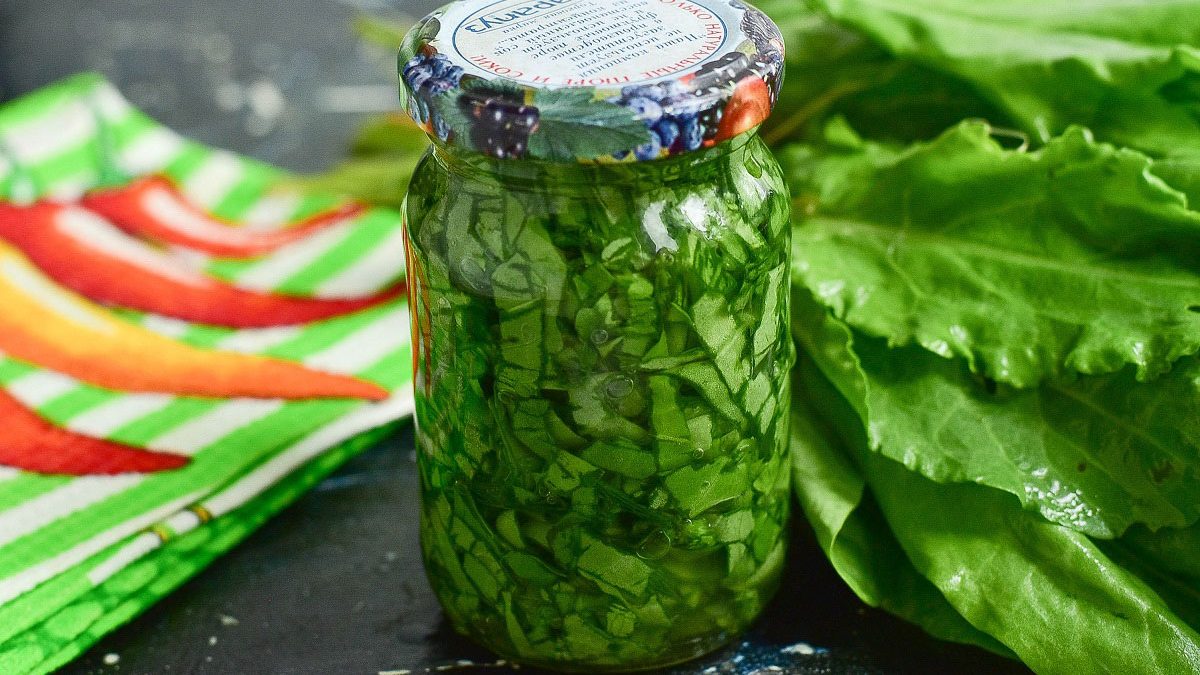 Pickled sorrel for the winter – a tasty and healthy preparation
