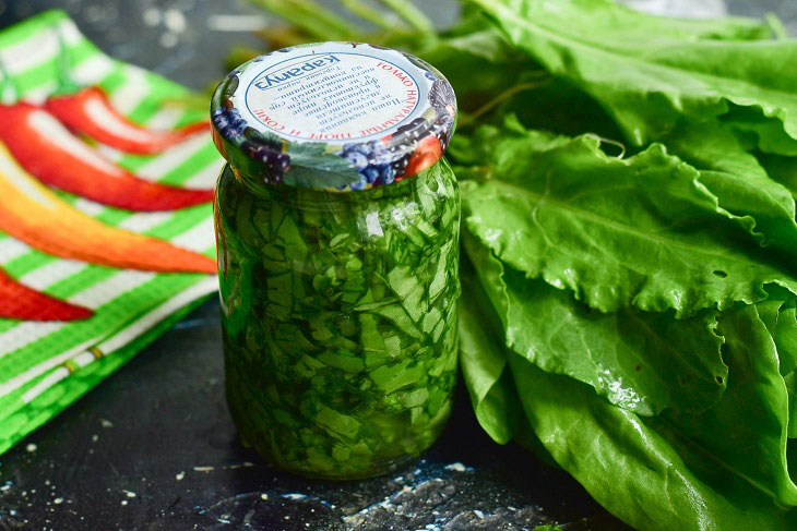 Pickled sorrel for the winter - a tasty and healthy preparation