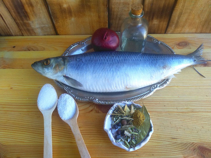 Herring in brine - a great recipe for a festive feast