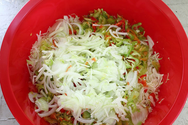 Cabbage salad for the winter - a useful and budgetary preparation