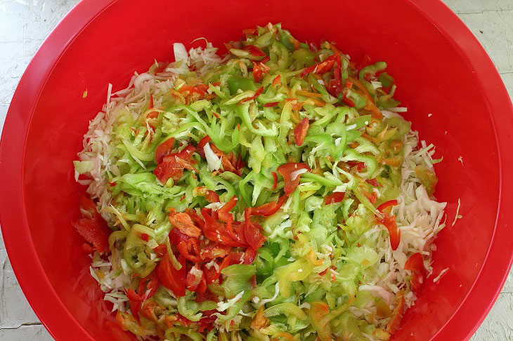 Cabbage salad for the winter - a useful and budgetary preparation