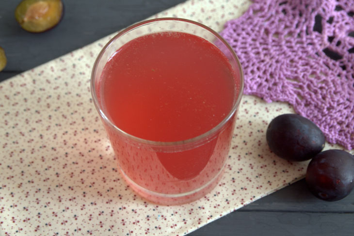 Plum kvass of natural fermentation - a step by step recipe with a photo