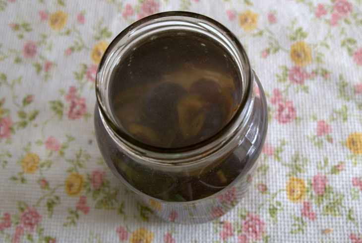 Plum kvass of natural fermentation - a step by step recipe with a photo