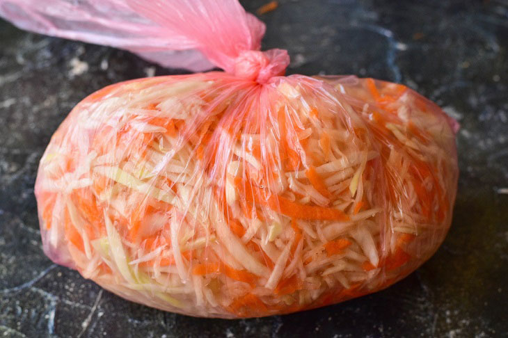 Sauerkraut in a bag - a simple and delicious recipe for your favorite snack