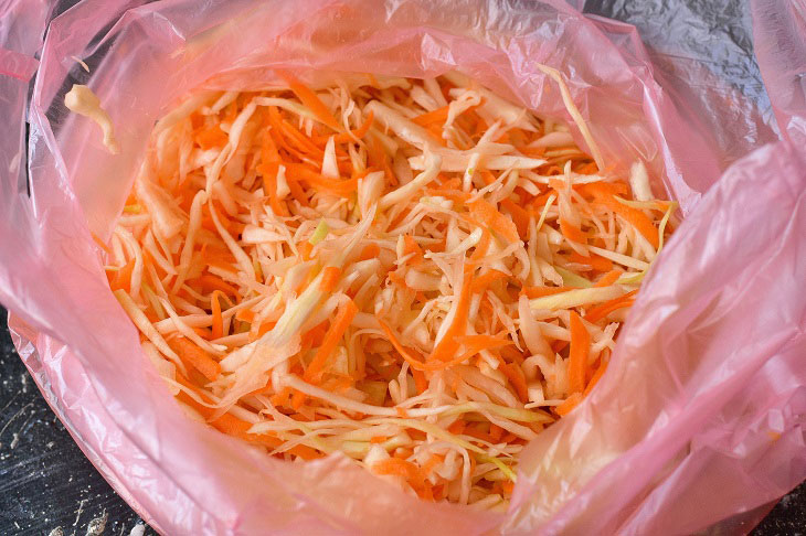 Sauerkraut in a bag - a simple and delicious recipe for your favorite snack