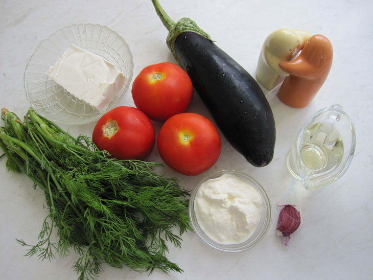 Beautiful appetizer of tomatoes with cottage cheese from a simple set of products