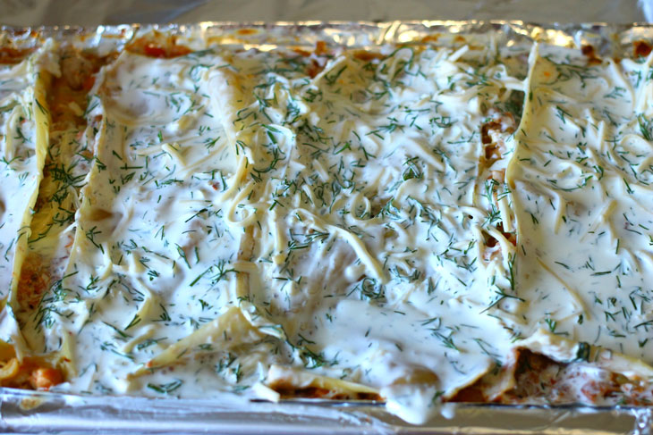 Lasagna with vegetables, chicken and mozzarella - very satisfying and tasty