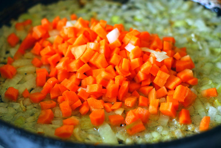 Lasagna with vegetables, chicken and mozzarella - very satisfying and tasty