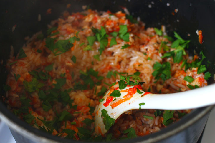 Stuffed peppers with rice, meat and vegetables - when there is no time for complex dishes