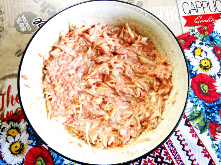 Cutlets "Tender" from minced meat and cabbage - a step-by-step recipe with a photo