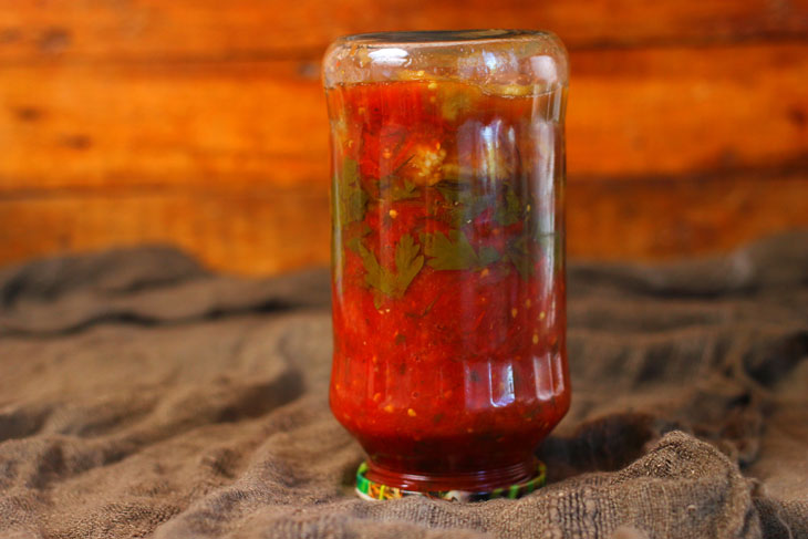 Oven-baked eggplants in tomato sauce - an incomparable snack for the winter