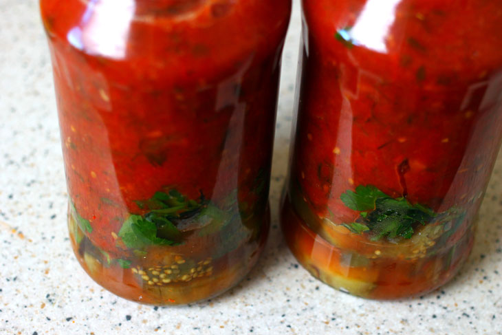 Oven-baked eggplants in tomato sauce - an incomparable snack for the winter