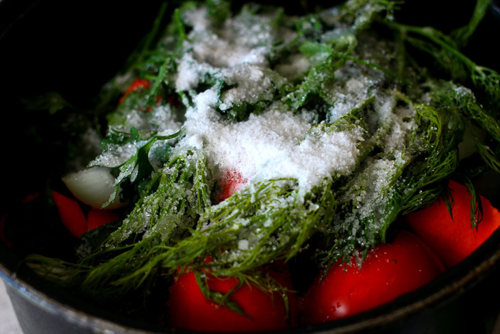 Oven-baked eggplants in tomato sauce - an incomparable snack for the winter