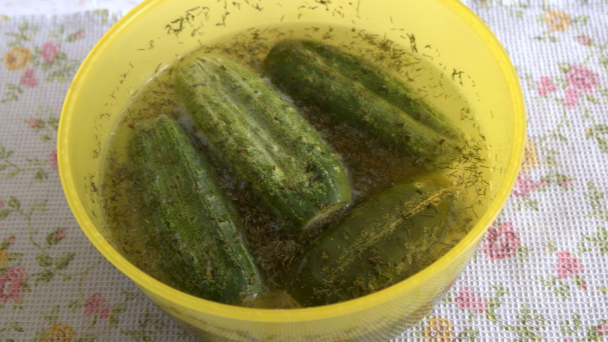 How to ferment “overgrown” cucumbers – a quick and easy way