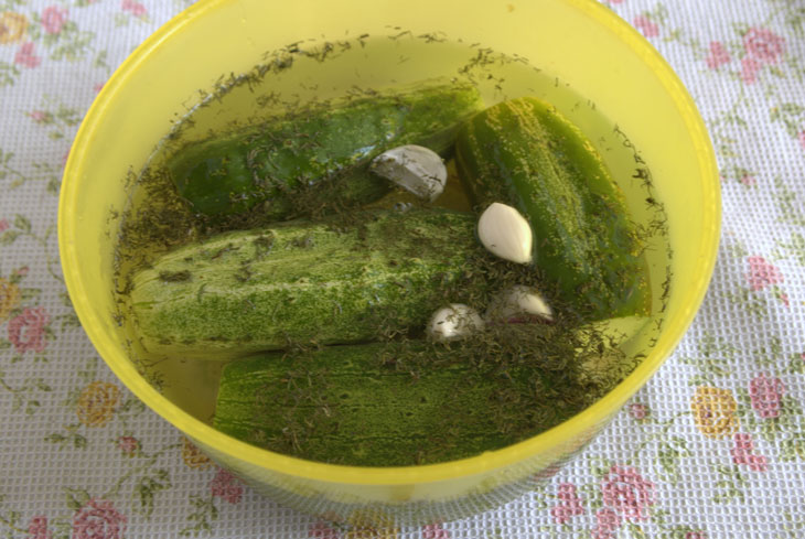 How to ferment "overgrown" cucumbers - a quick and easy way