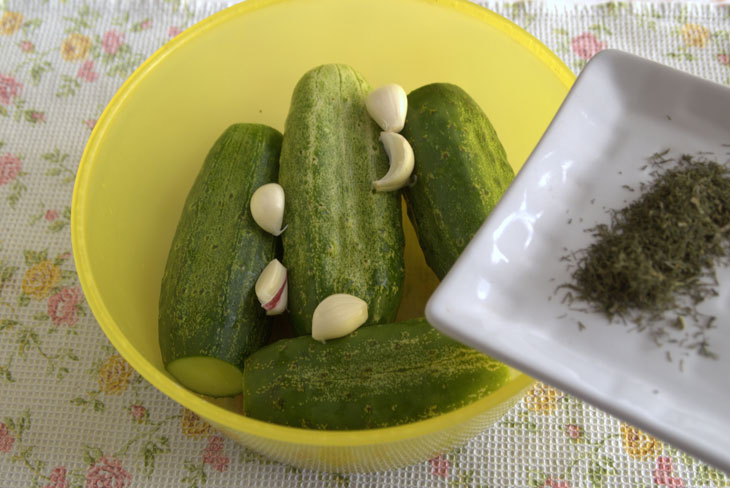 How to ferment "overgrown" cucumbers - a quick and easy way