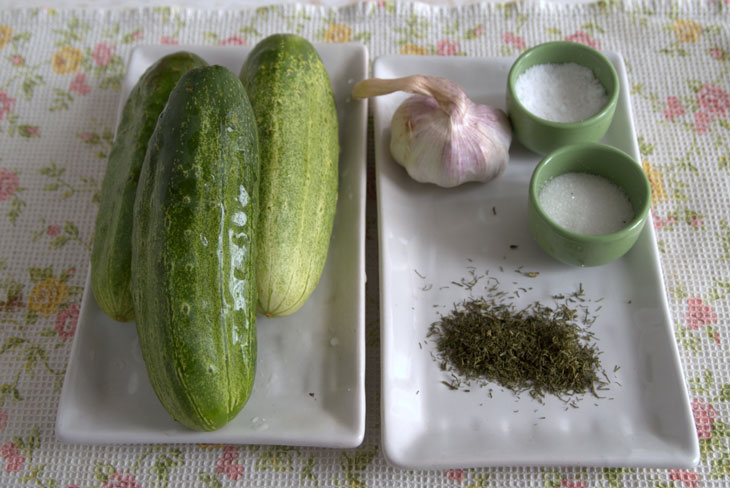 How to ferment "overgrown" cucumbers - a quick and easy way