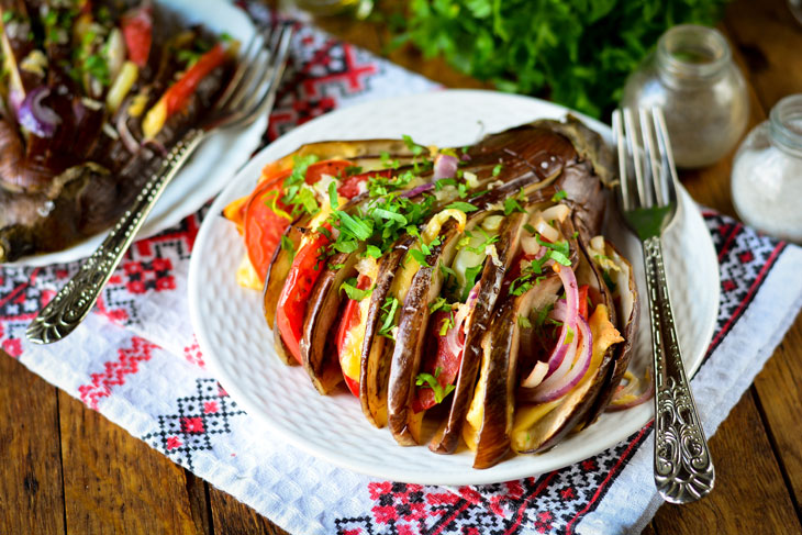 Eggplant Fan with Tomatoes and Cheese