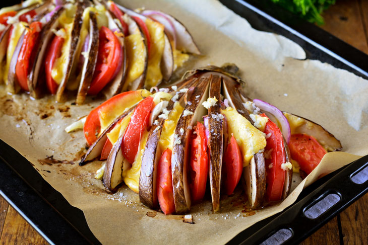 Eggplant Fan with Tomatoes and Cheese