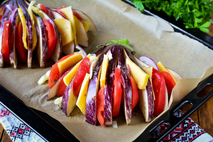 Eggplant Fan with Tomatoes and Cheese