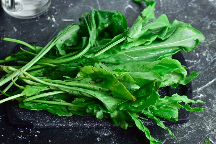 Sorrel for the winter - a useful vitamin preparation